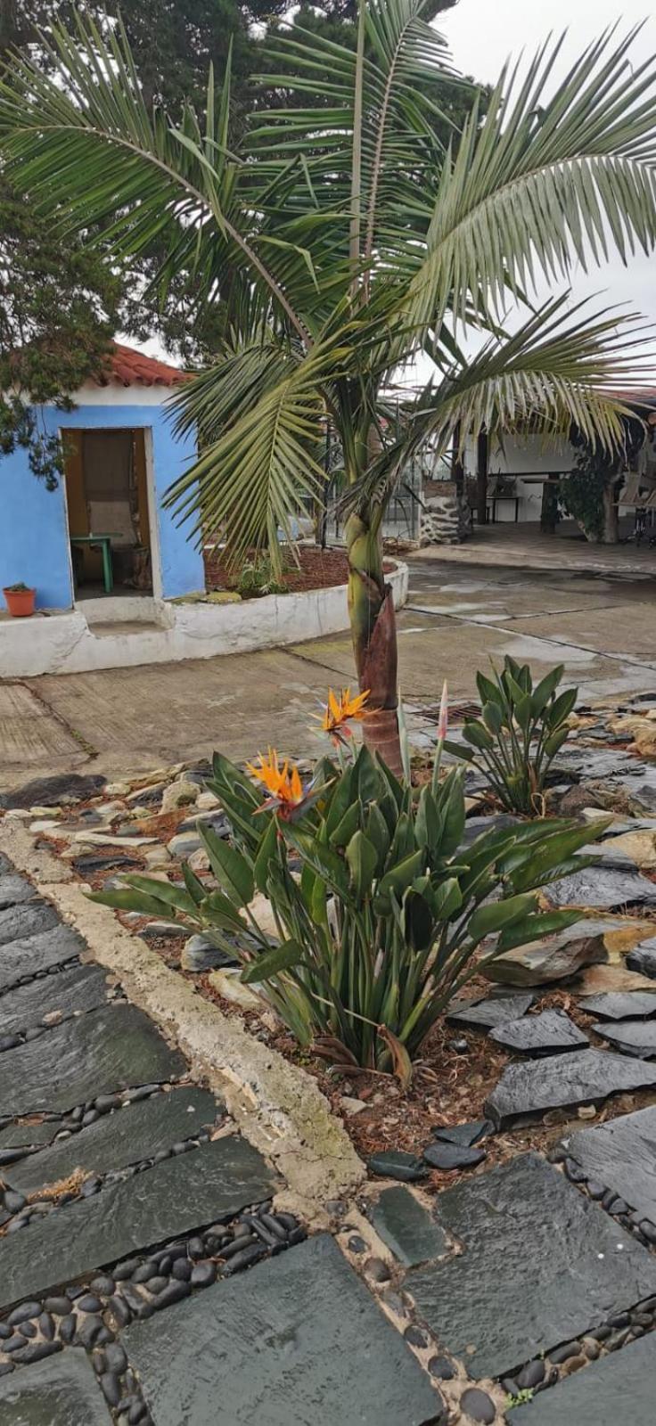 فيلا Casa La Caldera Firgas الغرفة الصورة